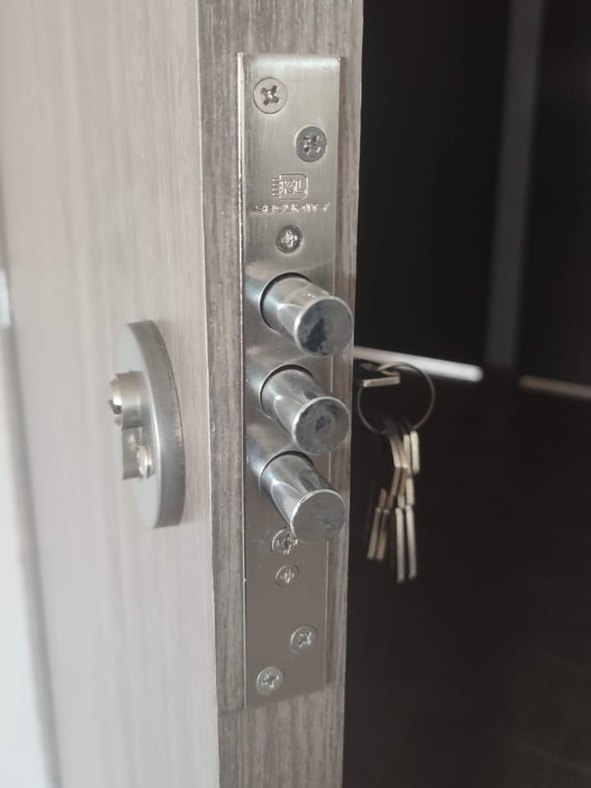 Puertas de seguridad