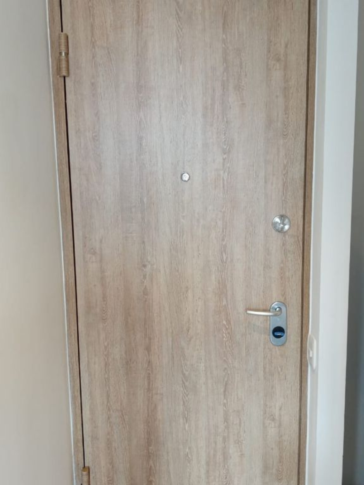 puertas de seguridad (1)