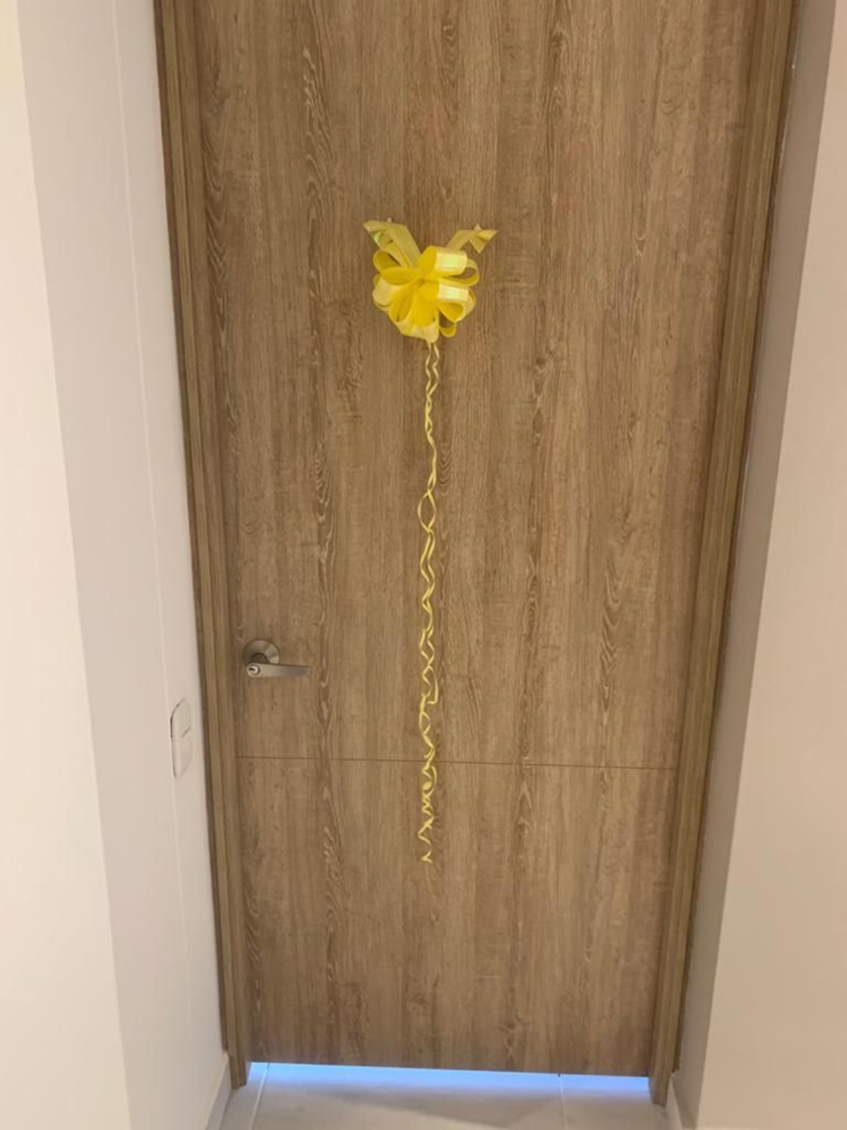 puertas de seguridad (4)