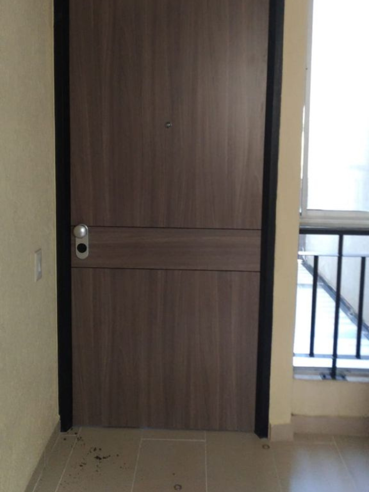 puertas de seguridad (6)